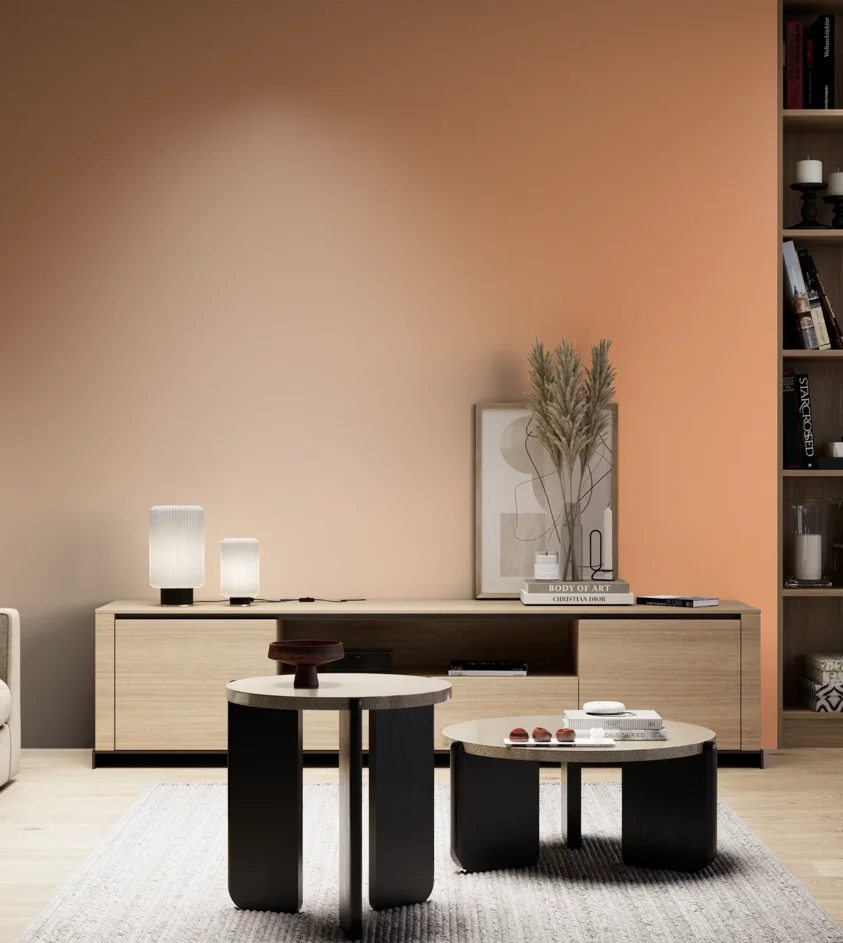 P10_SNIEZKA_salon_05_zimne_GREY_S1040-Y50R