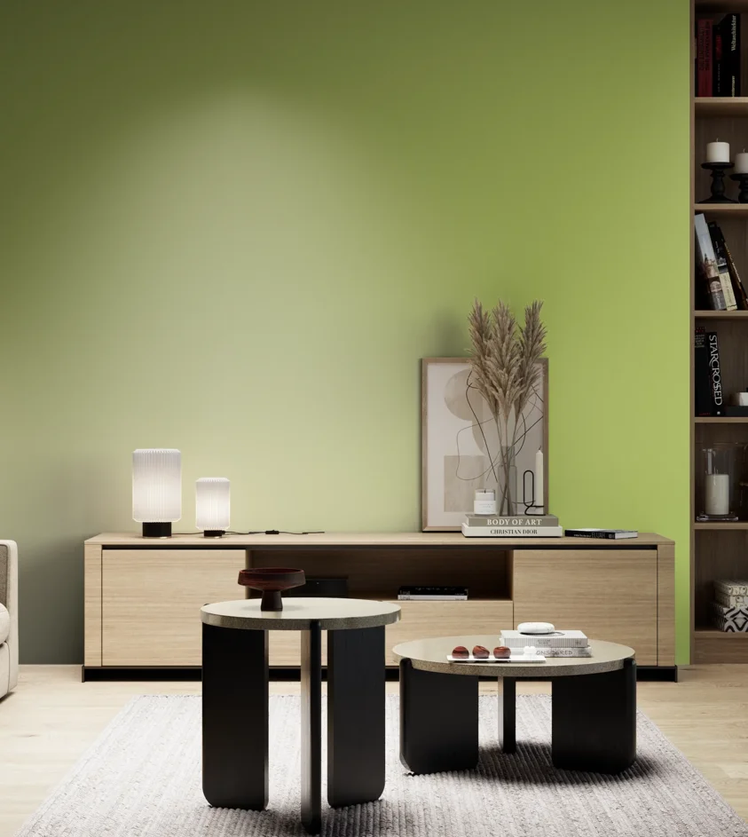 P10_SNIEZKA_salon_05_zimne_GREY_S1050-G50Y