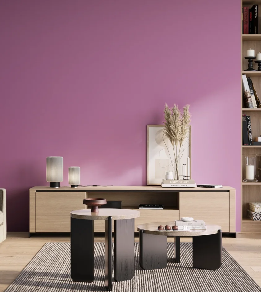 P10_SNIEZKA_salon_01_poranek_GREY_S1050-R40B