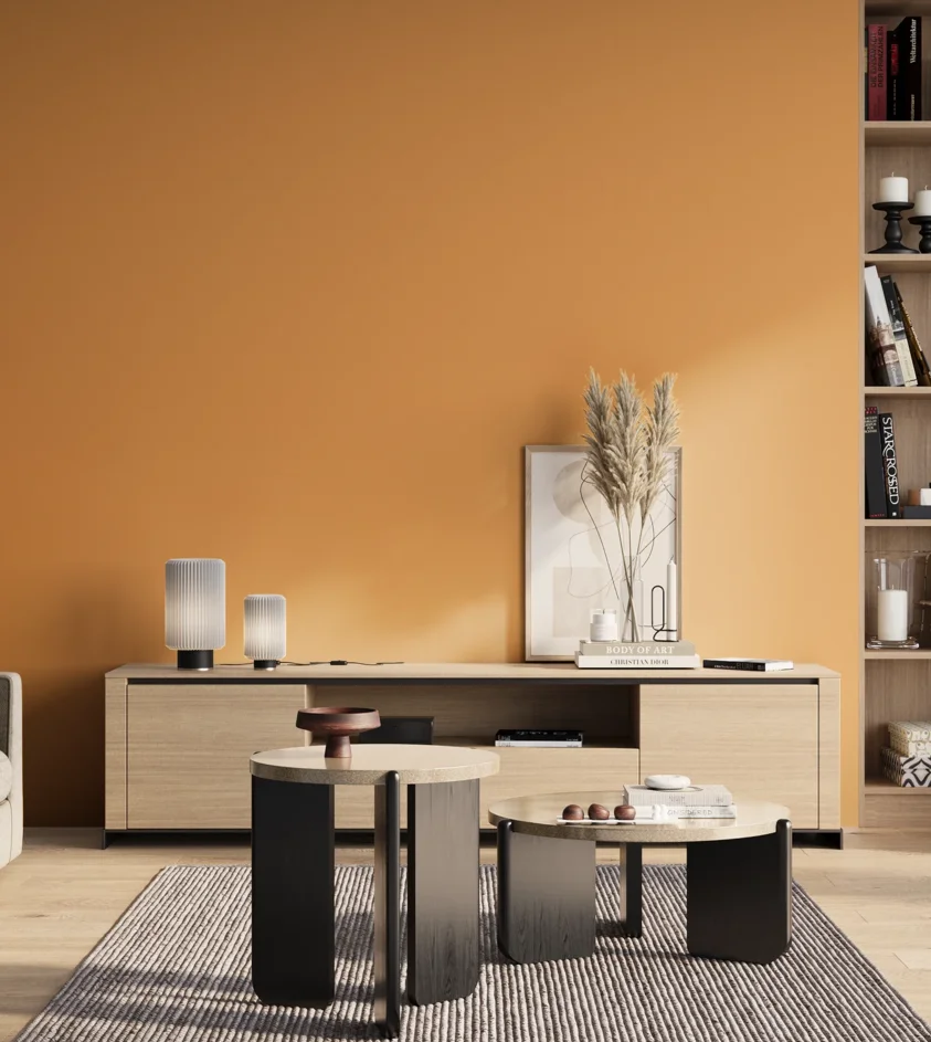 P10_SNIEZKA_salon_01_poranek_GREY_S1050-Y30R