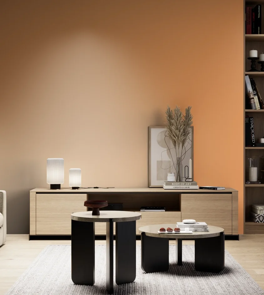 P10_SNIEZKA_salon_05_zimne_GREY_S1050-Y40R
