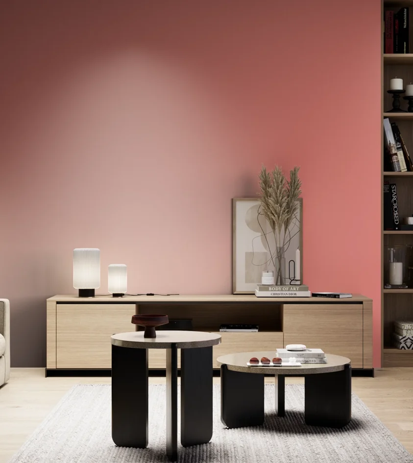 P10_SNIEZKA_salon_05_zimne_GREY_S1050-Y90R