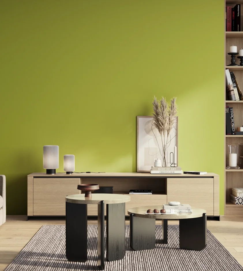 P10_SNIEZKA_salon_01_poranek_GREY_S1060-G60Y