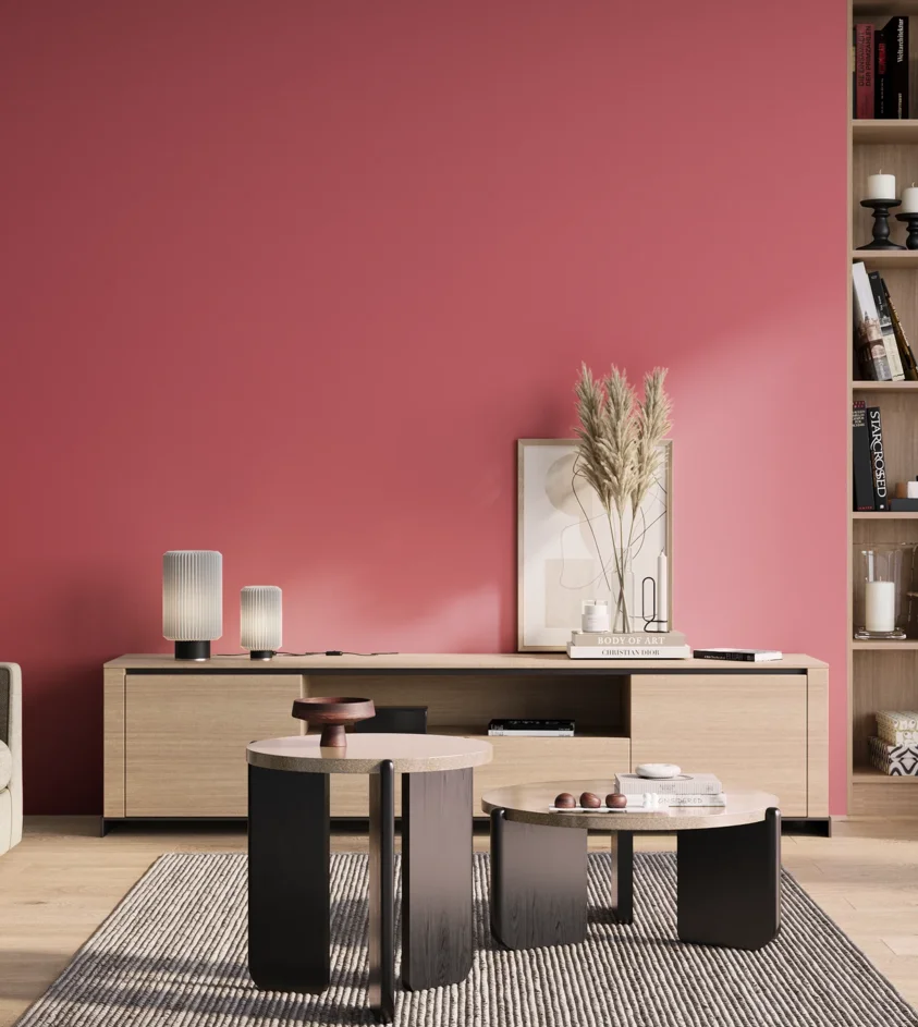 P10_SNIEZKA_salon_01_poranek_GREY_S1060-R10B