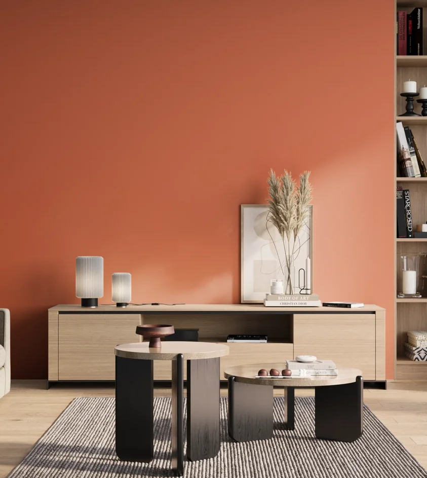 P10_SNIEZKA_salon_01_poranek_GREY_S1060-Y70R