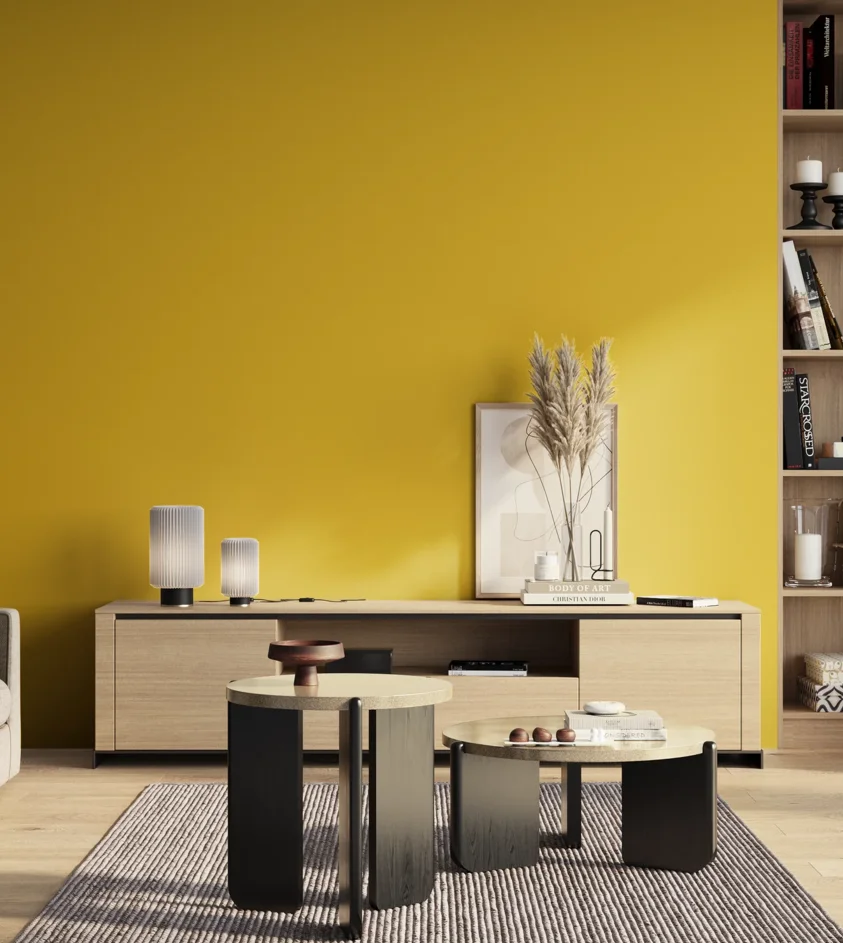P10_SNIEZKA_salon_01_poranek_GREY_S1070-Y