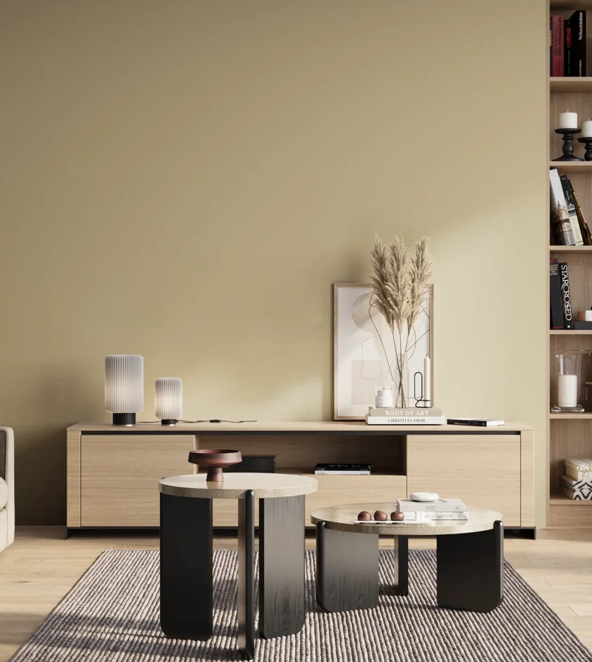 P10_SNIEZKA_salon_01_poranek_GREY_S1510-Y10R