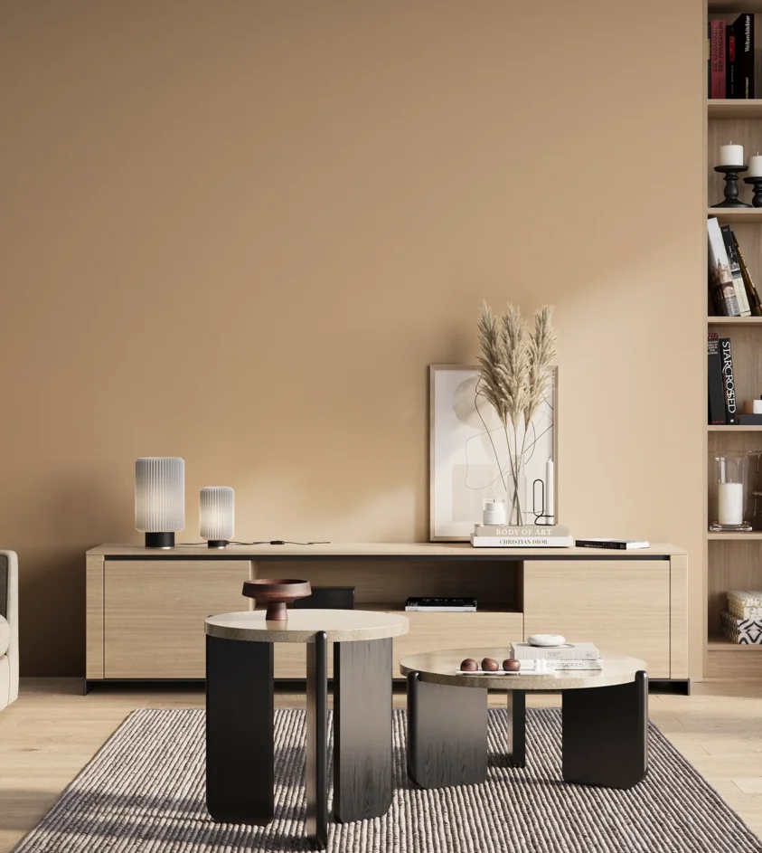 P10_SNIEZKA_salon_01_poranek_GREY_S1515-Y40R