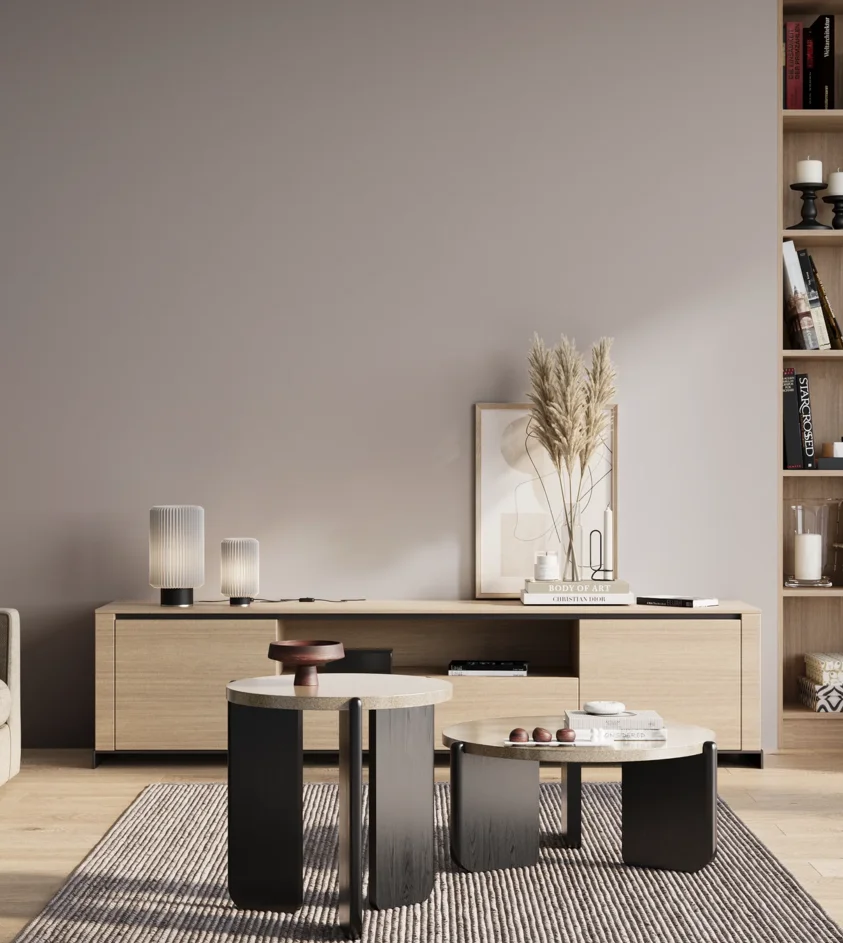 P10_SNIEZKA_salon_01_poranek_GREY_S2005-R40B