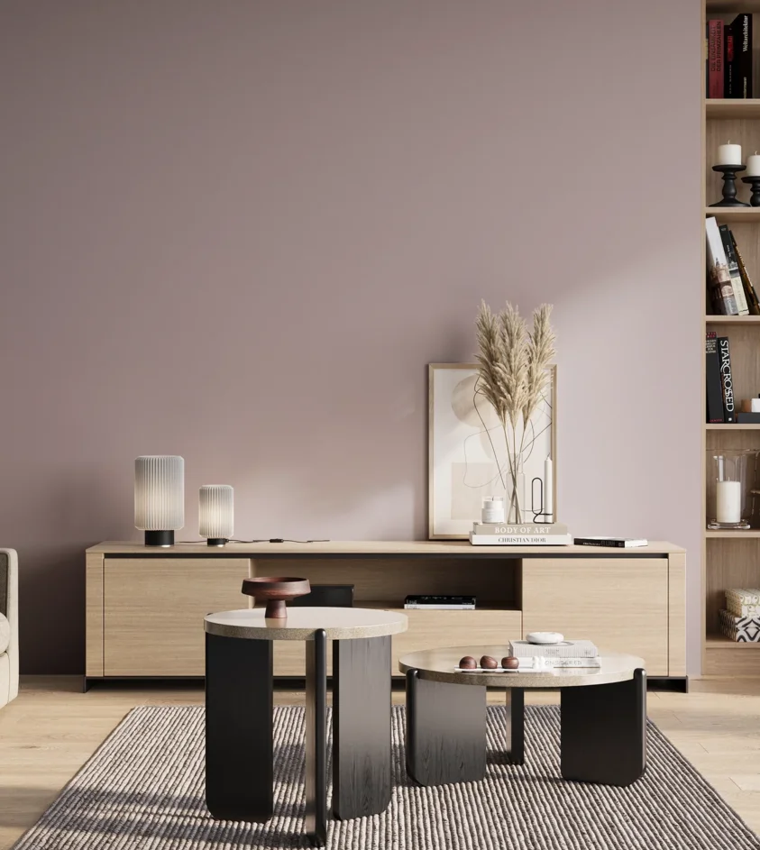 P10_SNIEZKA_salon_01_poranek_GREY_S2010-R30B