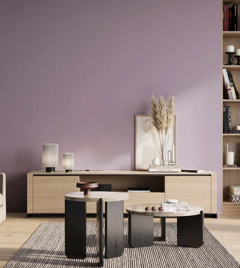 P10_SNIEZKA_salon_01_poranek_GREY_S2020-R50B