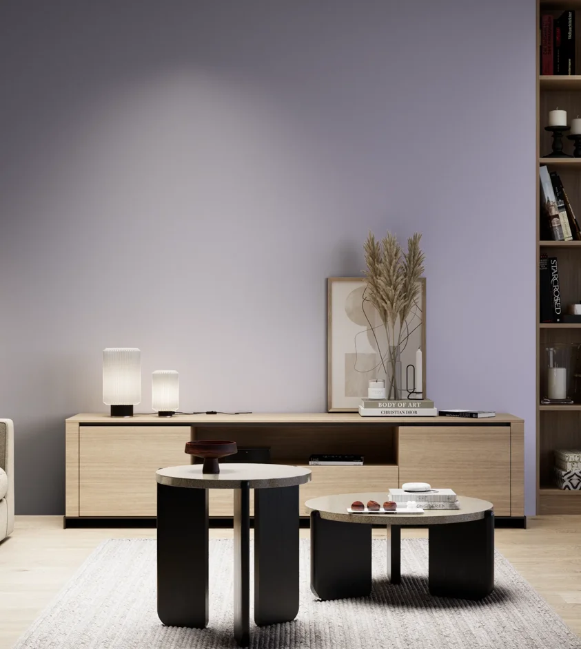 P10_SNIEZKA_salon_05_zimne_GREY_S2020-R60B
