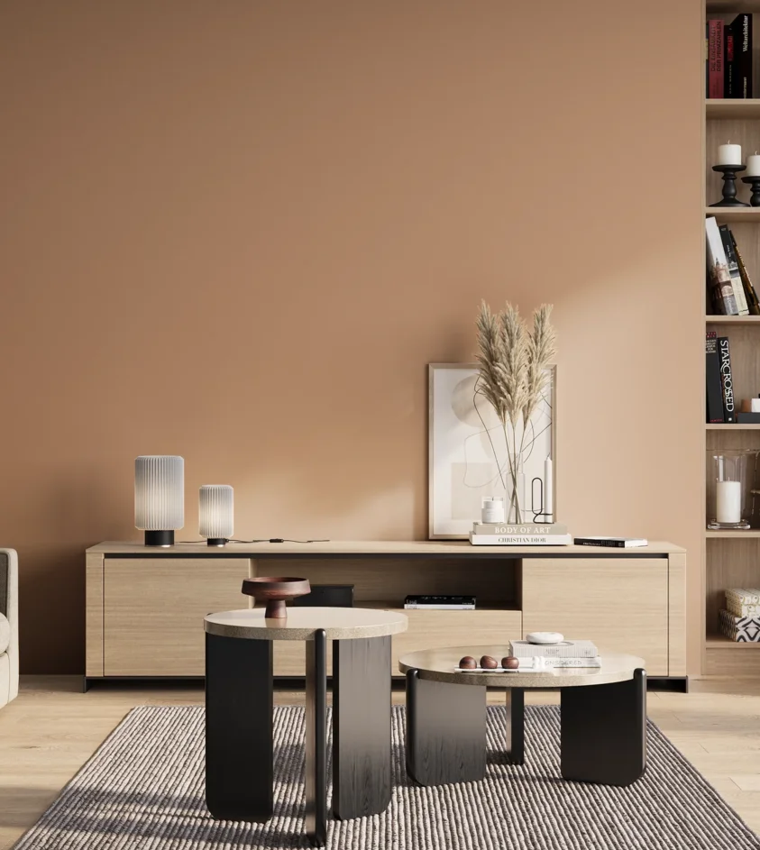 P10_SNIEZKA_salon_01_poranek_GREY_S2020-Y50R