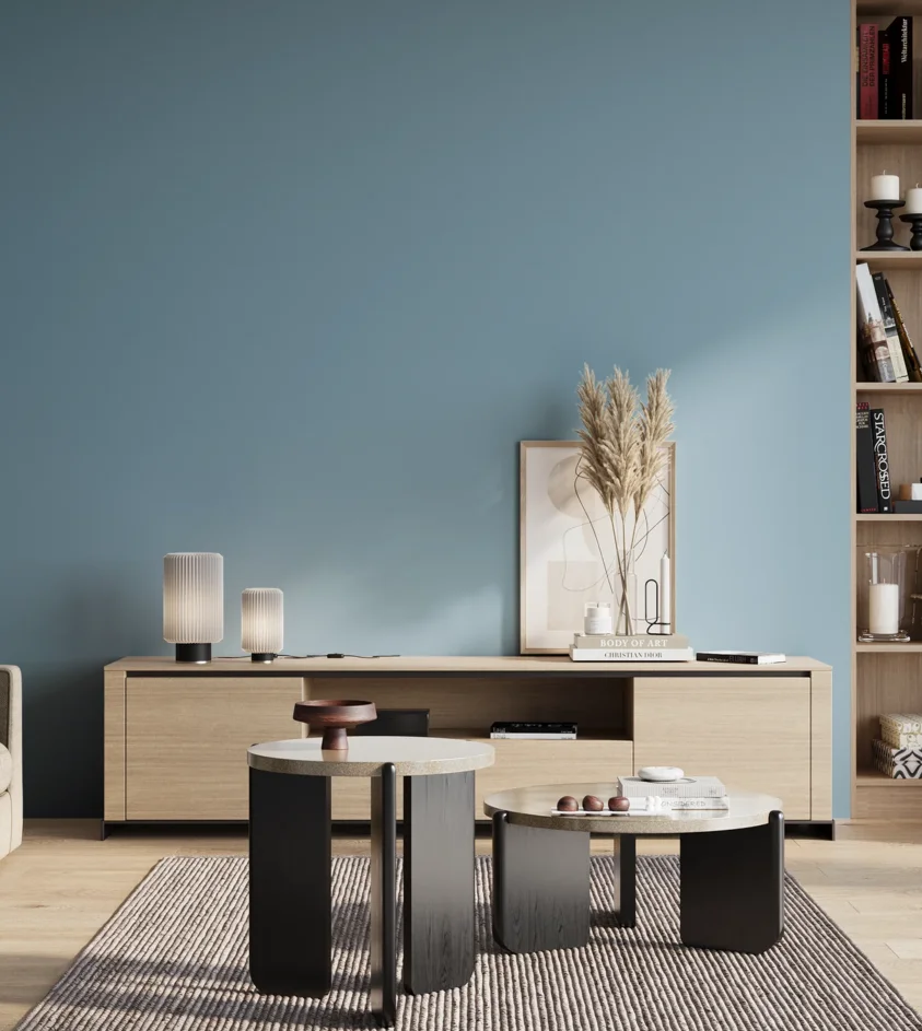 P10_SNIEZKA_salon_01_poranek_GREY_S2030-B