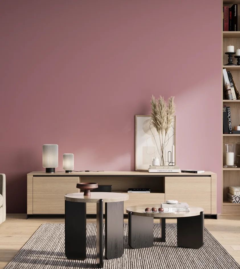 P10_SNIEZKA_salon_01_poranek_GREY_S2030-R20B