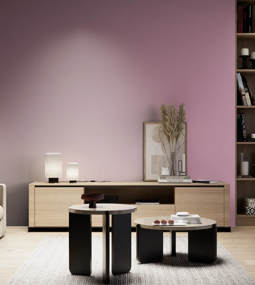 P10_SNIEZKA_salon_05_zimne_GREY_S2030-R30B