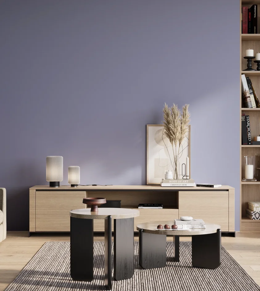 P10_SNIEZKA_salon_01_poranek_GREY_S2030-R70B