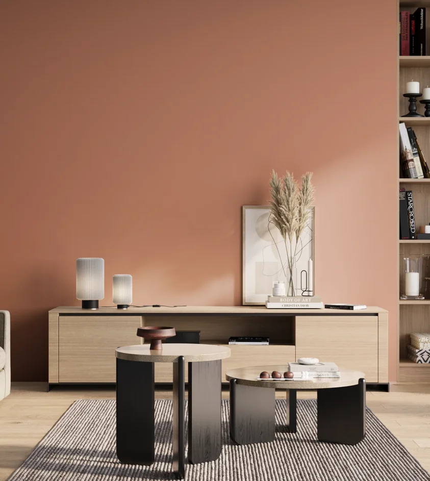 P10_SNIEZKA_salon_01_poranek_GREY_S2030-Y70R