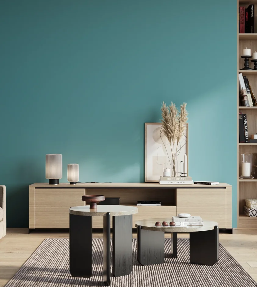 P10_SNIEZKA_salon_01_poranek_GREY_S2040-B20G
