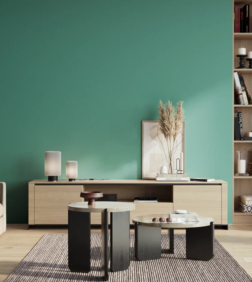 P10_SNIEZKA_salon_01_poranek_GREY_S2040-B70G