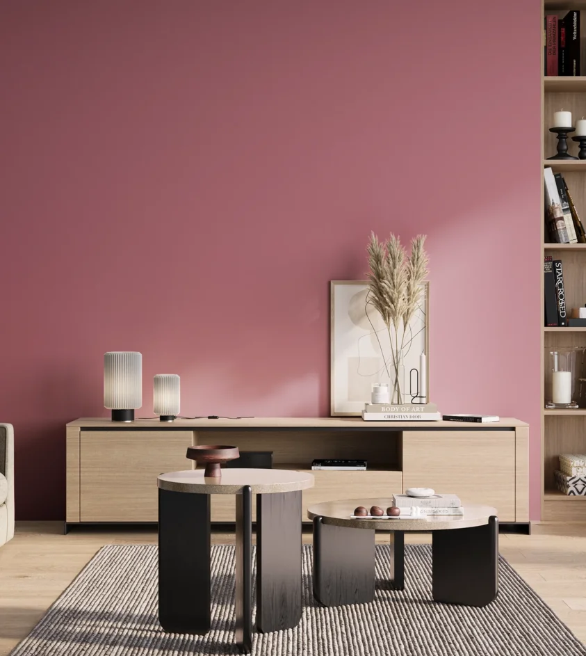P10_SNIEZKA_salon_01_poranek_GREY_S2040-R20B