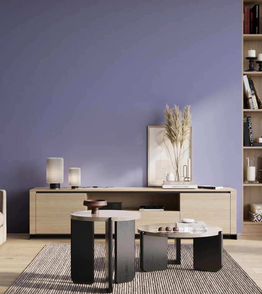 P10_SNIEZKA_salon_01_poranek_GREY_S2040-R70B