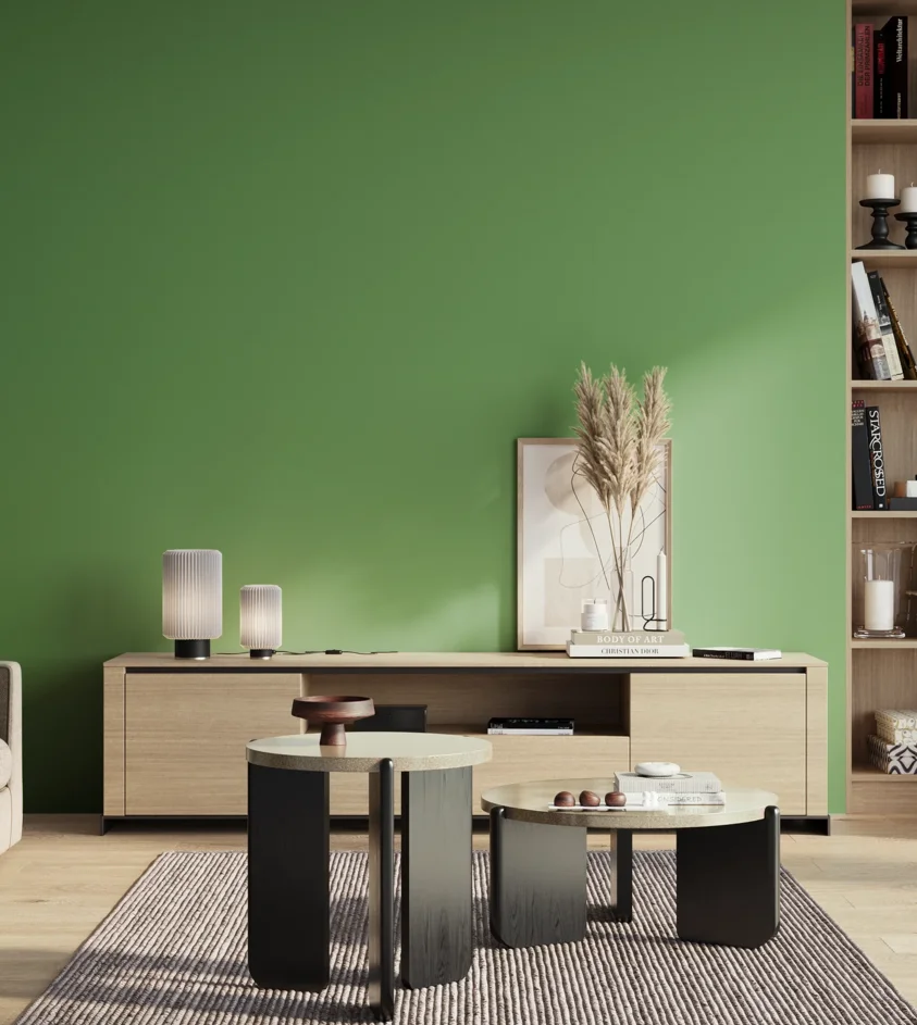 P10_SNIEZKA_salon_01_poranek_GREY_S2050-G20Y