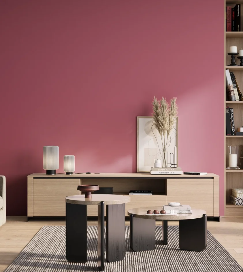 P10_SNIEZKA_salon_01_poranek_GREY_S2050-R20B
