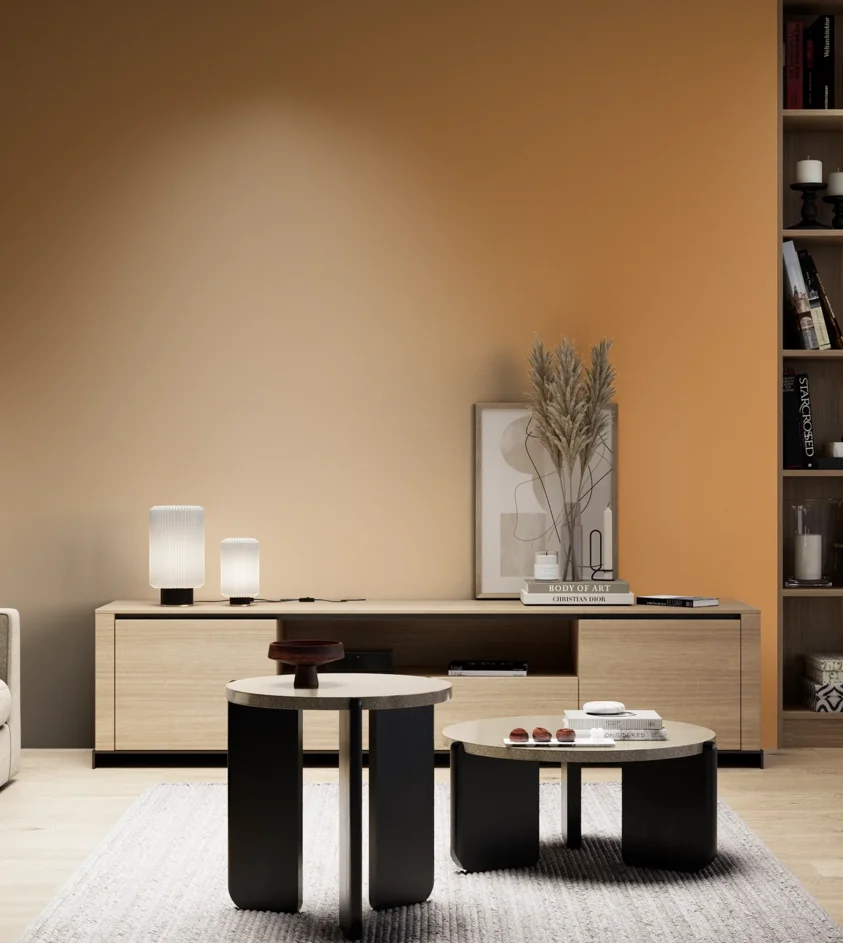 P10_SNIEZKA_salon_05_zimne_GREY_S2050-Y30R