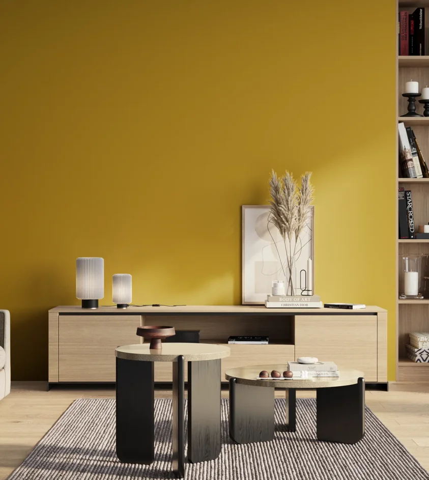 P10_SNIEZKA_salon_01_poranek_GREY_S2070-Y