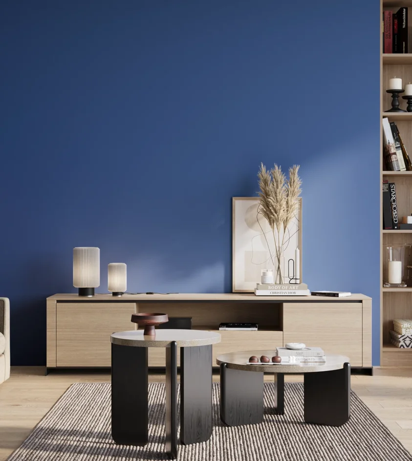 S2565-R80B | Magnat Farby