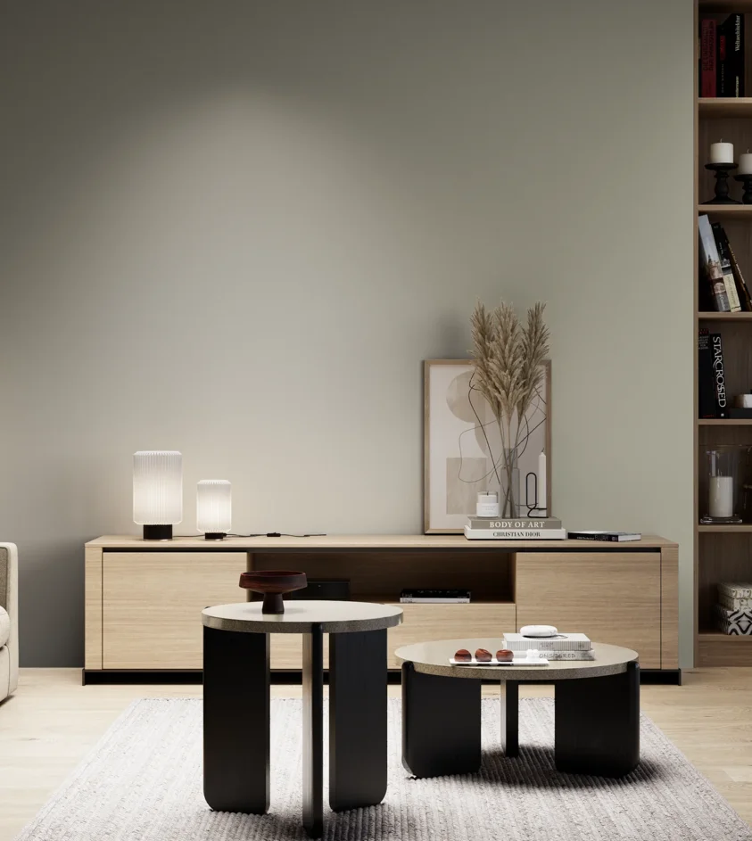 P10_SNIEZKA_salon_05_zimne_GREY_S3005-G80Y