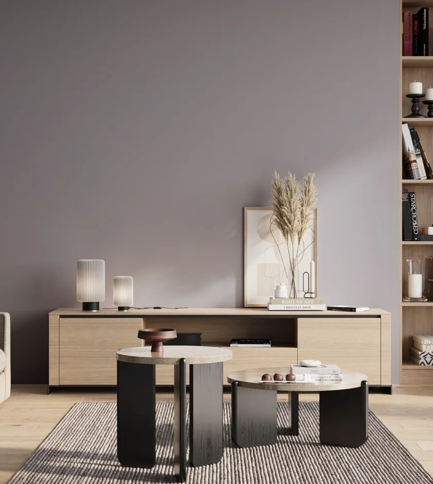 P10_SNIEZKA_salon_01_poranek_GREY_S3010-R60B