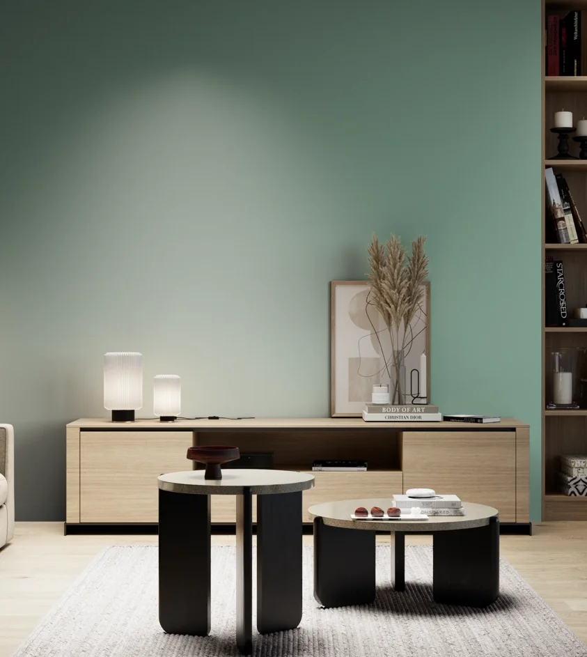 P10_SNIEZKA_salon_05_zimne_GREY_S3020-B90G
