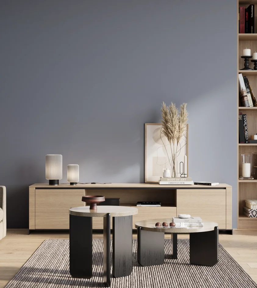 P10_SNIEZKA_salon_01_poranek_GREY_S3020-R80B