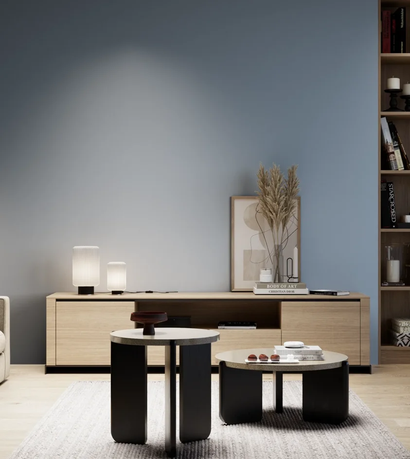 P10_SNIEZKA_salon_05_zimne_GREY_S3020-R90B