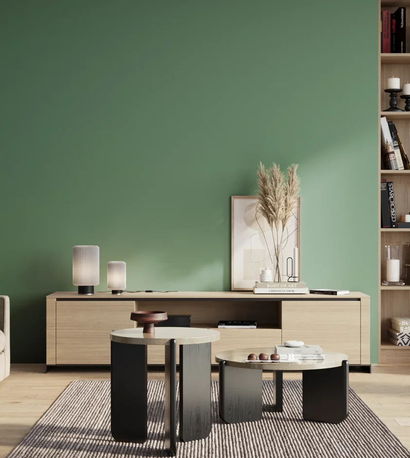 P10_SNIEZKA_salon_01_poranek_GREY_S3030-G