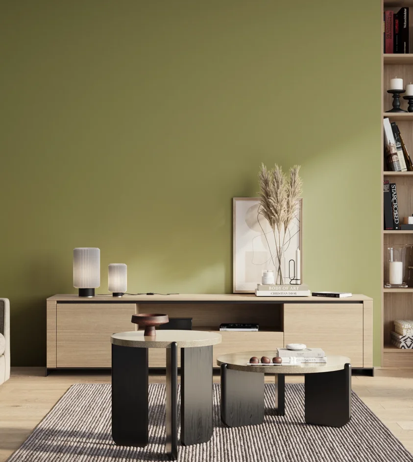 P10_SNIEZKA_salon_01_poranek_GREY_S3030-G60Y