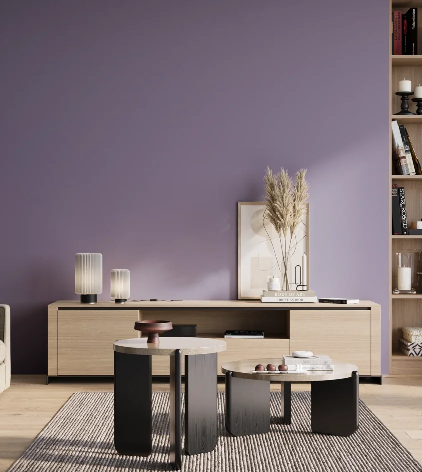 P10_SNIEZKA_salon_01_poranek_GREY_S3030-R60B