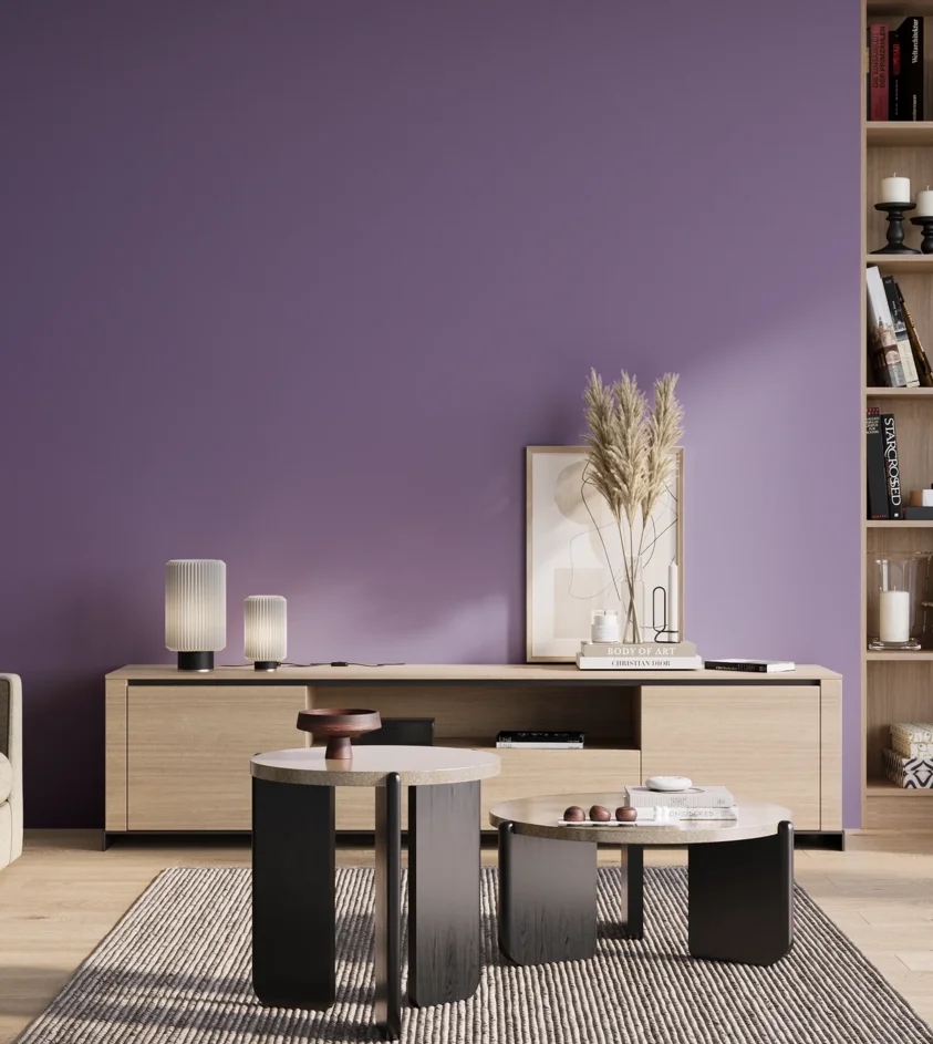 P10_SNIEZKA_salon_01_poranek_GREY_S3040-R60B