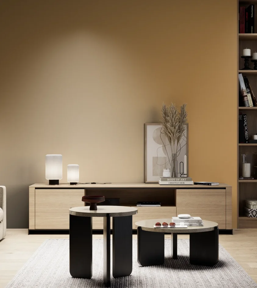 P10_SNIEZKA_salon_05_zimne_GREY_S3040-Y20R