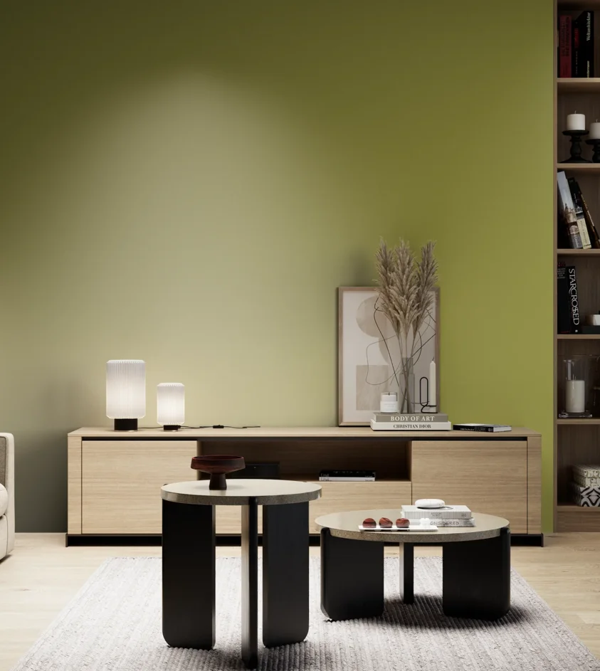 P10_SNIEZKA_salon_05_zimne_GREY_S3050-G70Y