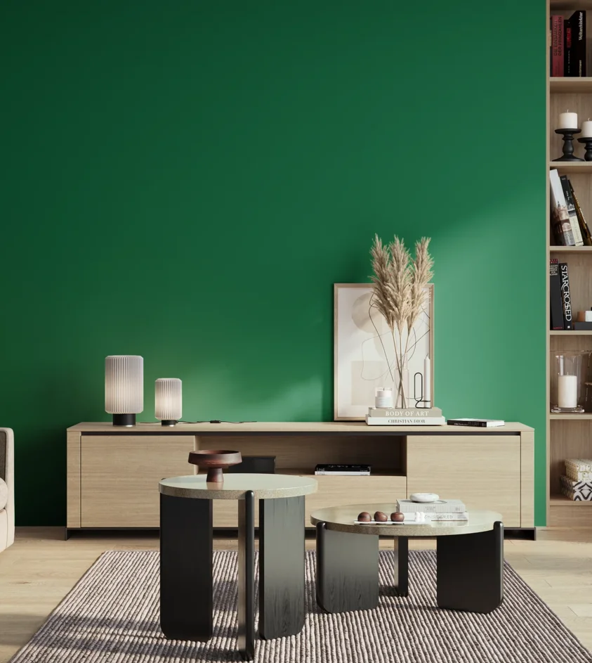 P10_SNIEZKA_salon_01_poranek_GREY_S3560-G