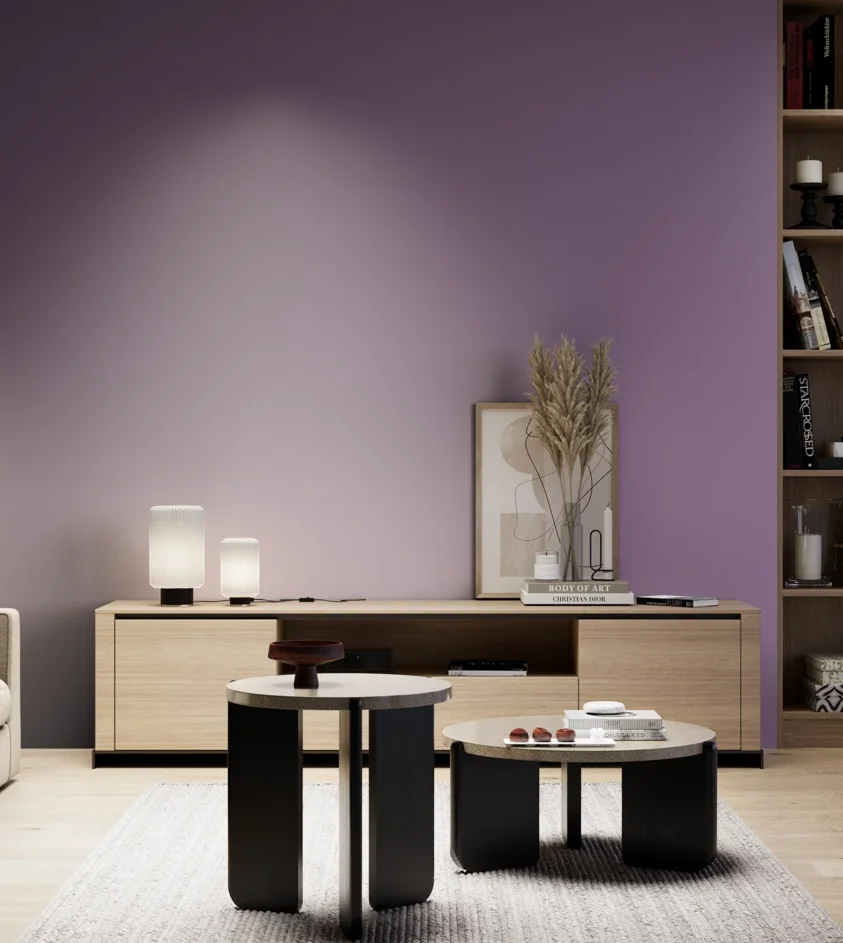 P10_SNIEZKA_salon_05_zimne_GREY_S4030-R50B
