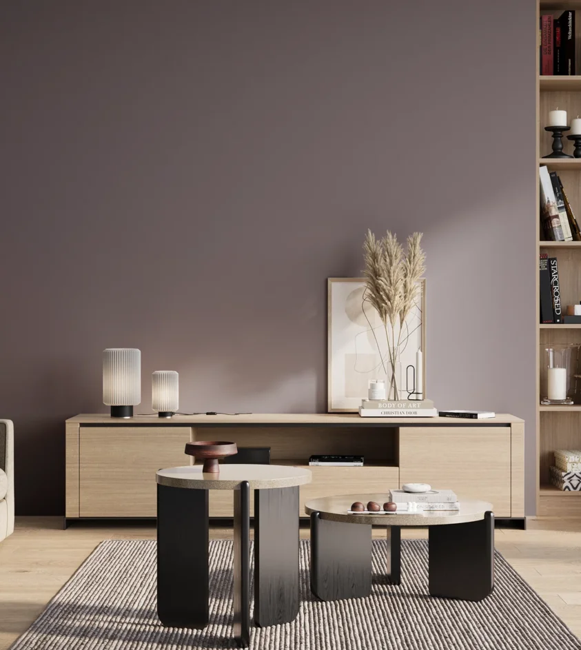 P10_SNIEZKA_salon_01_poranek_GREY_S5010-R50B