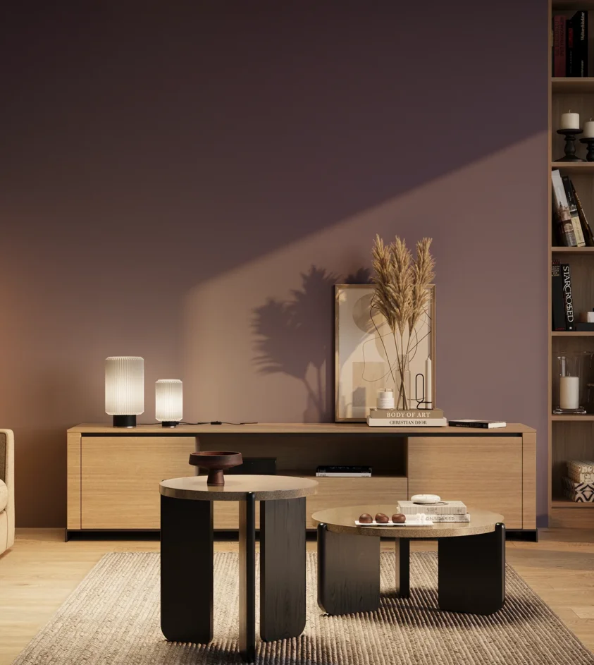 P10_SNIEZKA_salon_03_wieczor_GREY_S5030-R60B