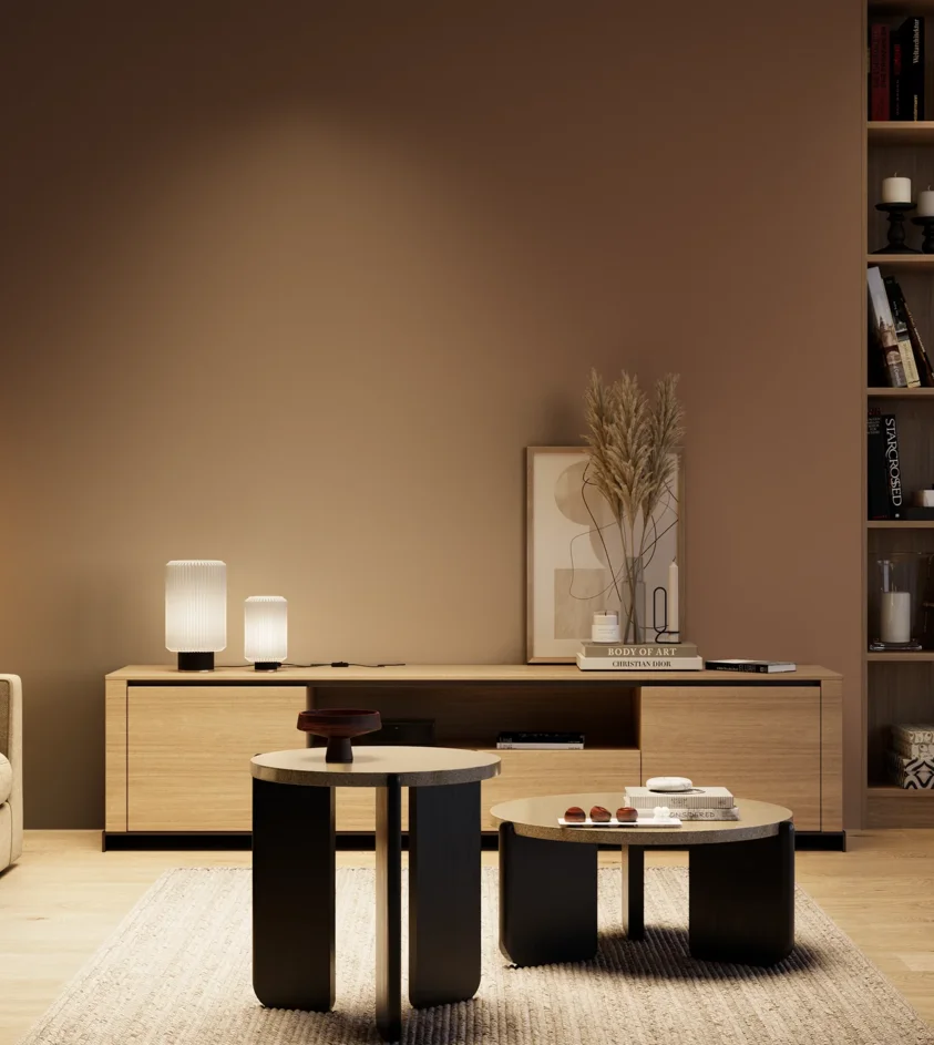 P10_SNIEZKA_salon_04_cieple_GREY_S6020-Y60R