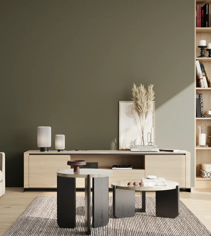 P10_SNIEZKA_salon_02_poludnie_GREY_S7010-G50Y