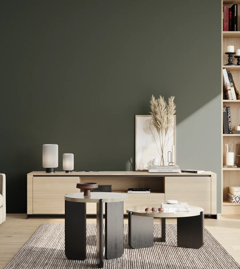 P10_SNIEZKA_salon_02_poludnie_GREY_S8010-B90G