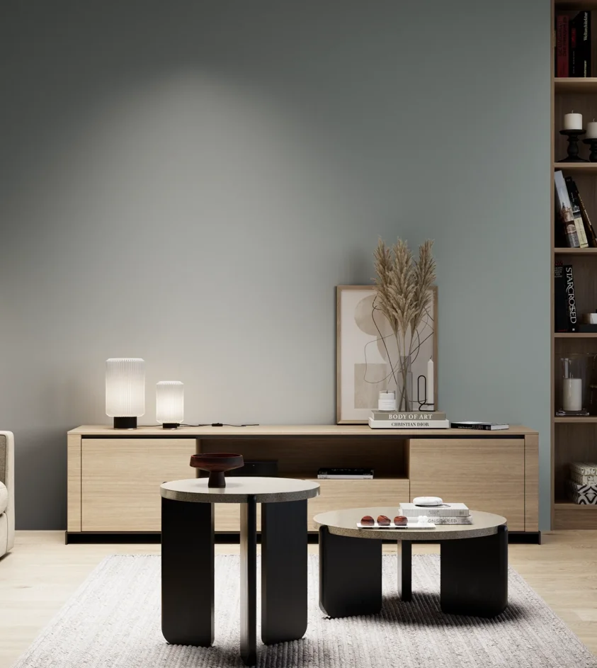 P10_SNIEZKA_salon_05_zimne_GREY_S4005-B50G